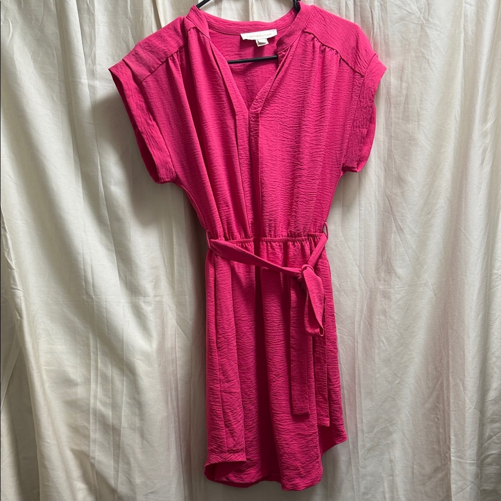 Elegant Pink Mini Dress with Belt